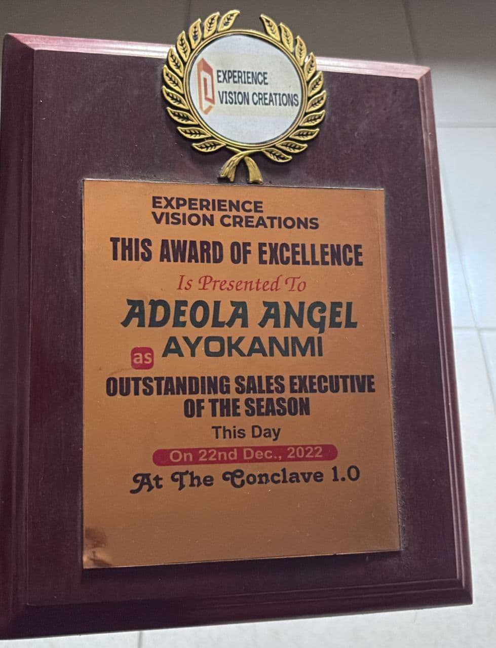 Award of Excellence for being an Outstanding Sales Person of the Season
