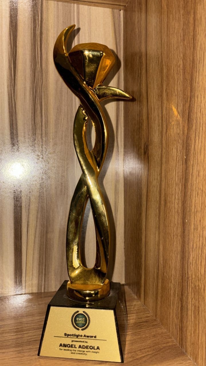 Spotlight Award for Leading with insight and creativity.